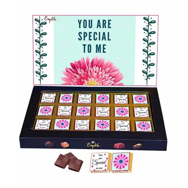 Expelite You Are Special To Me Chocolates Gift – 300 gm