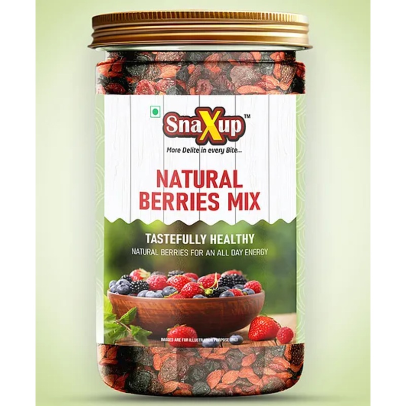 SnaXup Mix Berries Dried Cranberries Blueberries Strawberries Black Currants 500 g