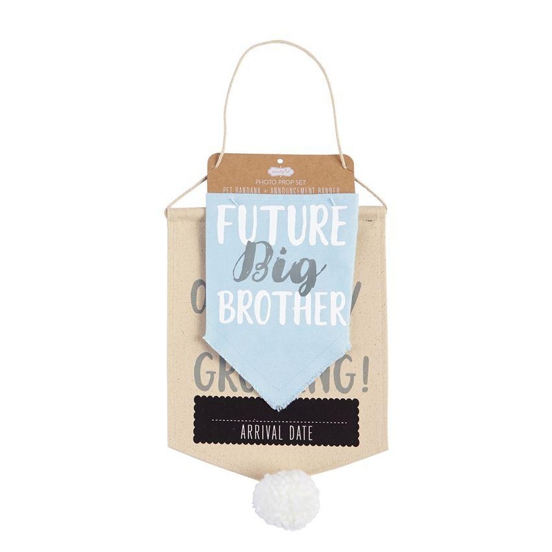 Mud Pie Blue Pet Prop Announcement