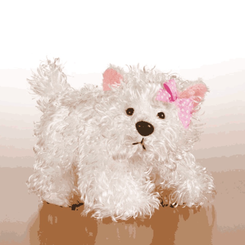 Lil’ Kinz White Terrier