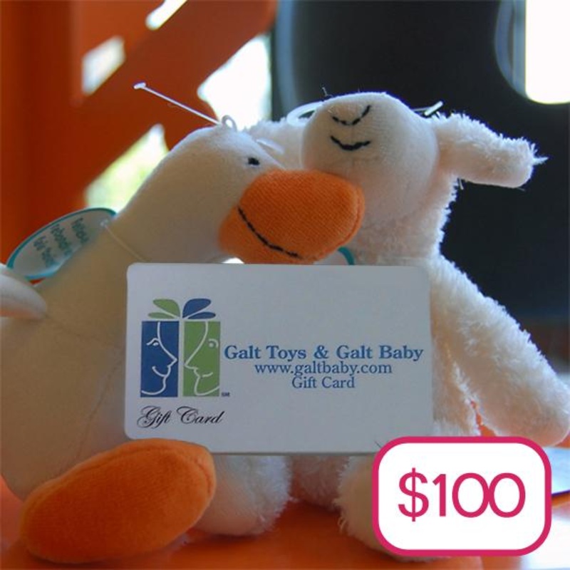 $100  Electronic Gift Card