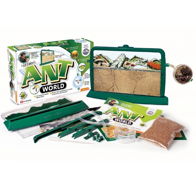 Childrens Ant Farm World