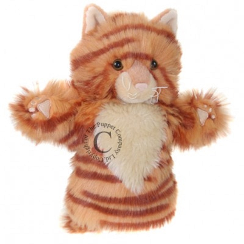 Car Pets Puppet – Ginger Cat