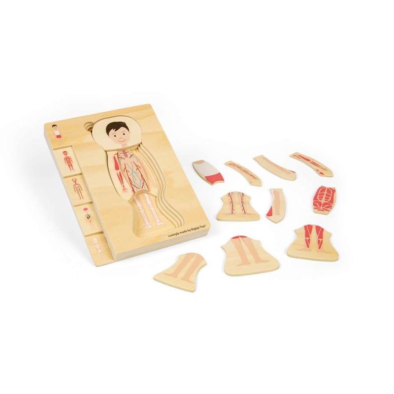 Anatomy Puzzle – Boy