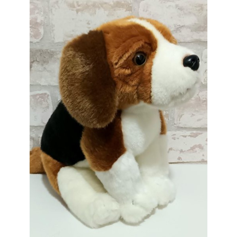 Living Nature Beagle Sitting