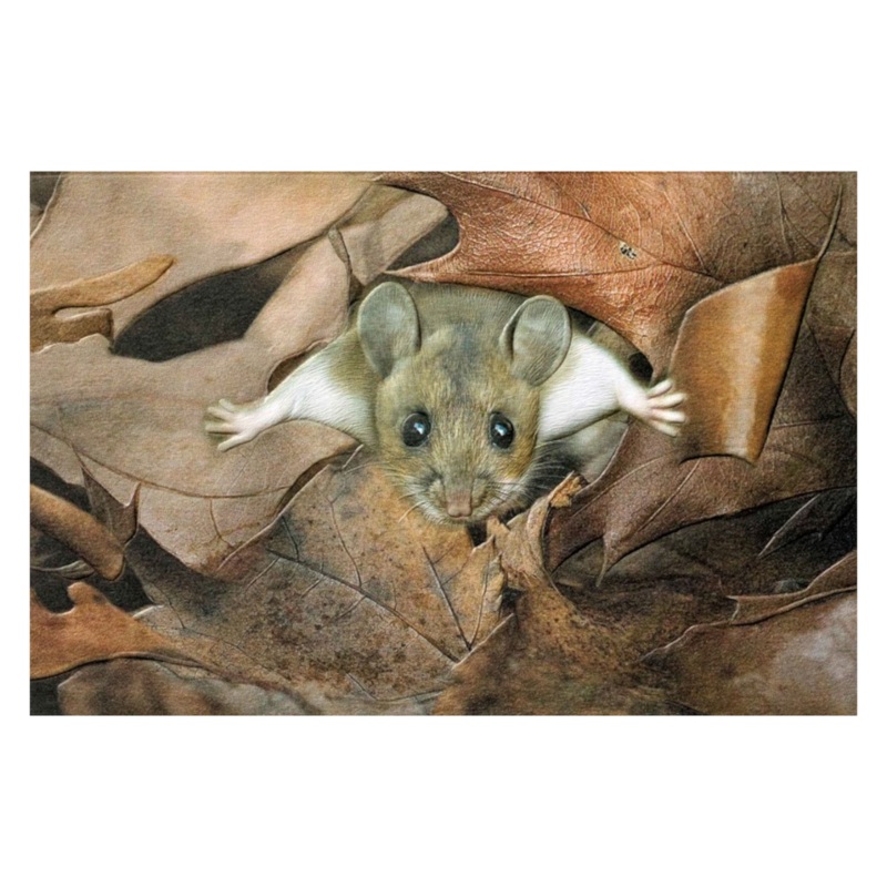 Enesco – 80459 | Hide And Seek