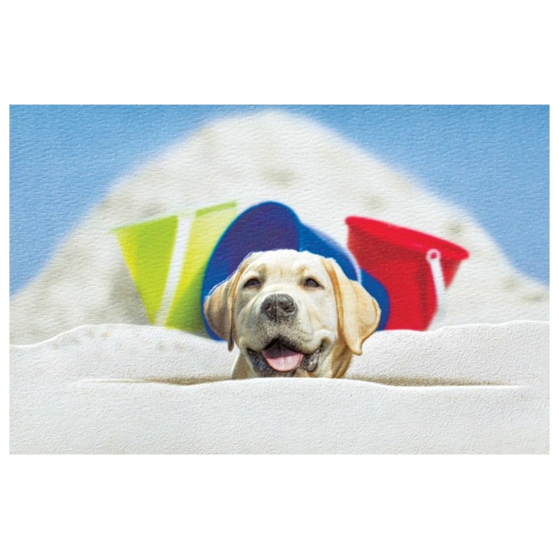 Enesco – 80613 | Scoop