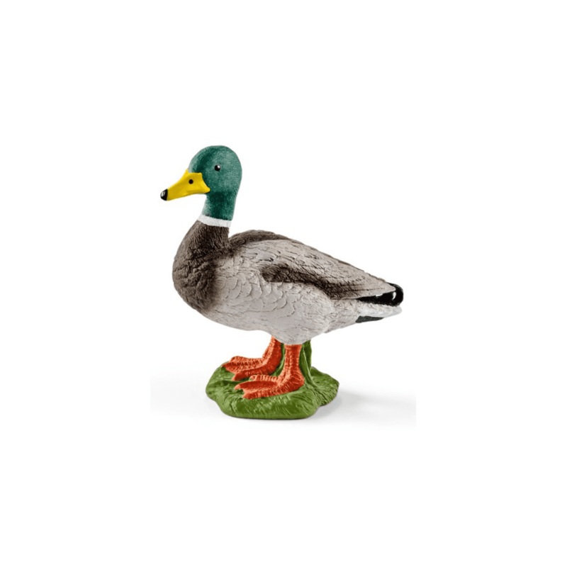 Schleich Drake – 13824