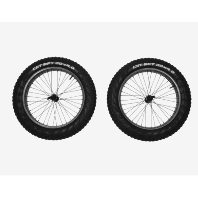 Thule Reacha 20″ Fat Tire Wheel Set