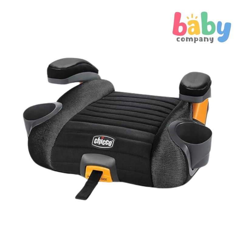 Chicco GoFit Plus Car Seat – Iron