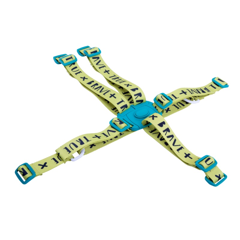 Noodle Supa 0+ DRAGON KINGDOM Harness