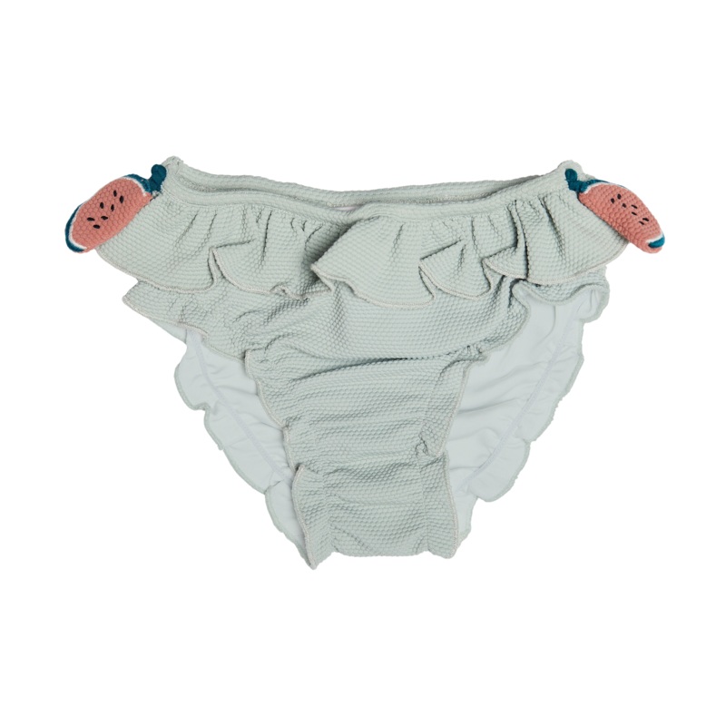 Sisi Swimming Briefs | Watermelon | Desert Sage