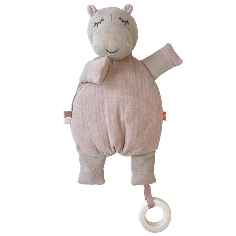 Activity Toy Hippo