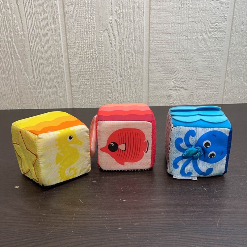 Baby Einstein Explore & Discover Soft Blocks