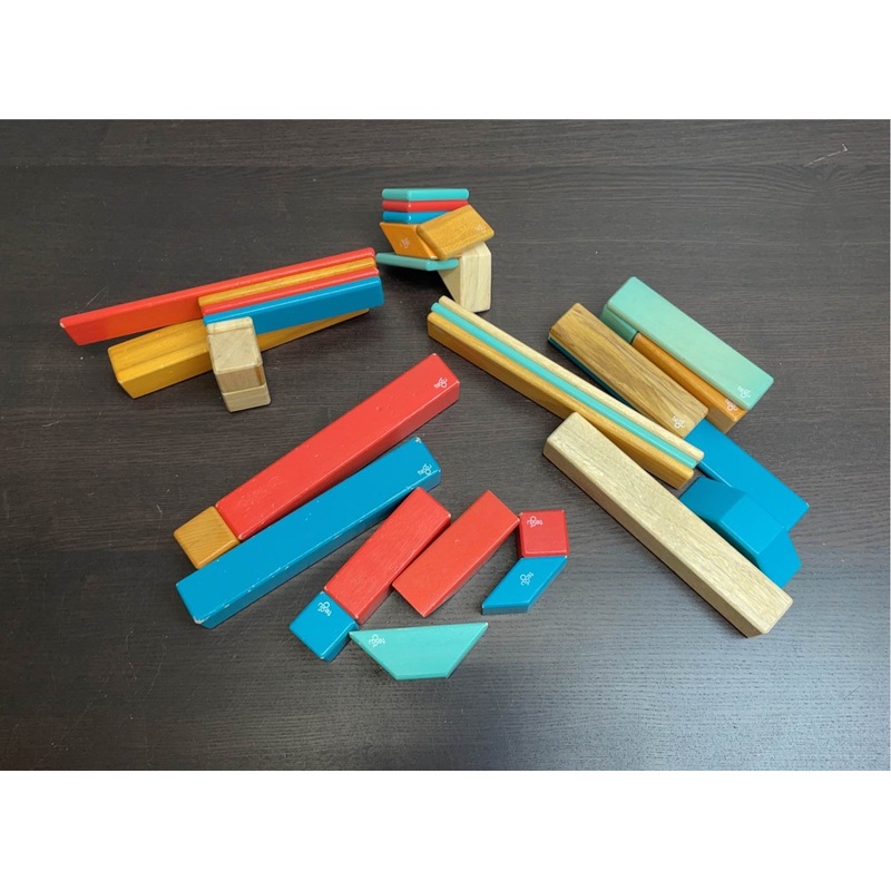 Tegu Magnetic Wood Blocks