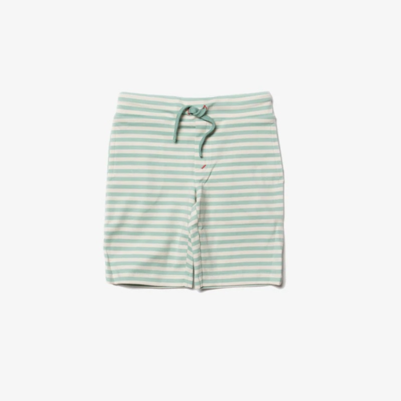 Duck egg blue stripe beach shorts