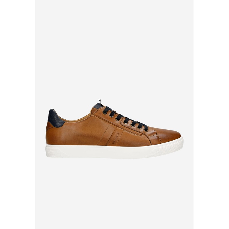Wojas Men’s Brown Leather Sneakers with Dark Blue Additions | 1016752