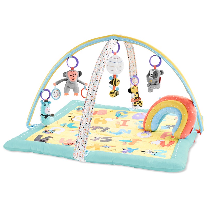 Skip Hop ABC & Me Activity Gym