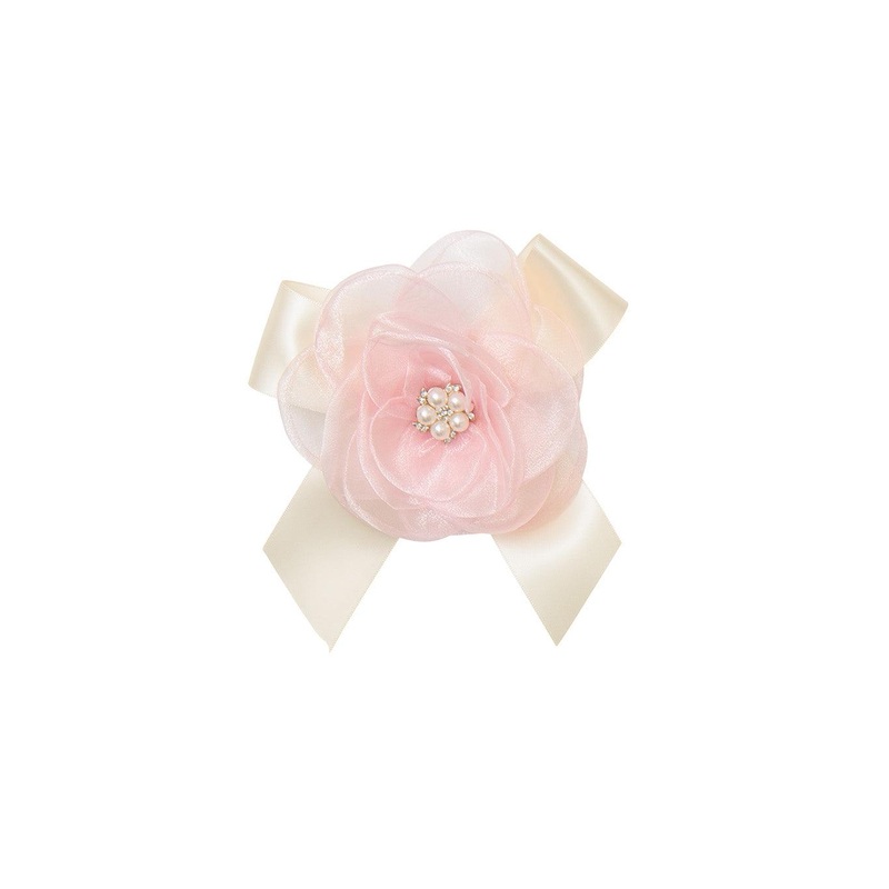 Zoe’S Magic Clippie