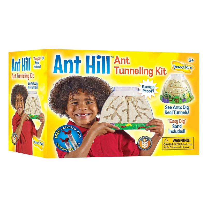 Ant Hill with Voucher for Live Ants