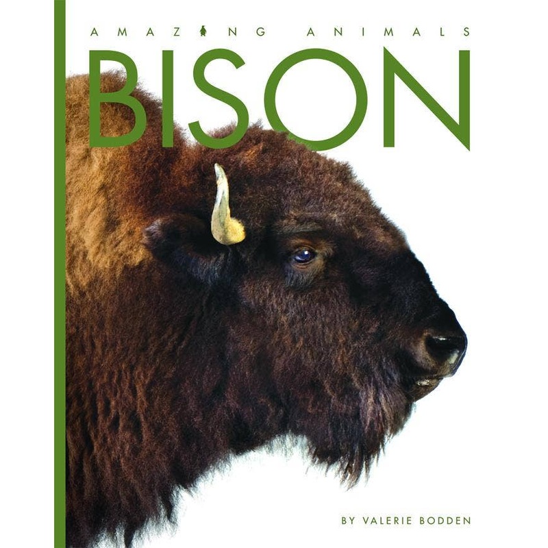 Amazing Animals: Bison