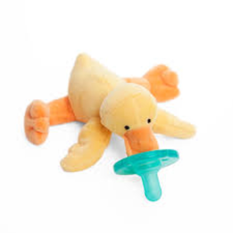 Sensory Pacifier & Teether Holder with Silicone Pacifier